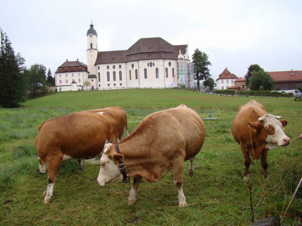 Igreja Wieskirche - Castelos na Alemanha