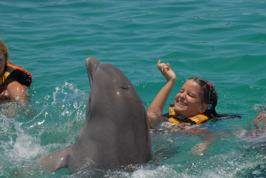 Nadar com golfinhos em Isla Mujeres - Riviera Maia e Isla Mujeres - O que fazer