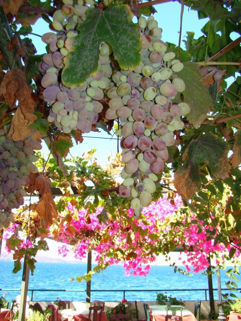 Dicas de Santorini, Taverna Remezzo, Ilha de Santorini Grécia: Como ir, onde ficar e comer!