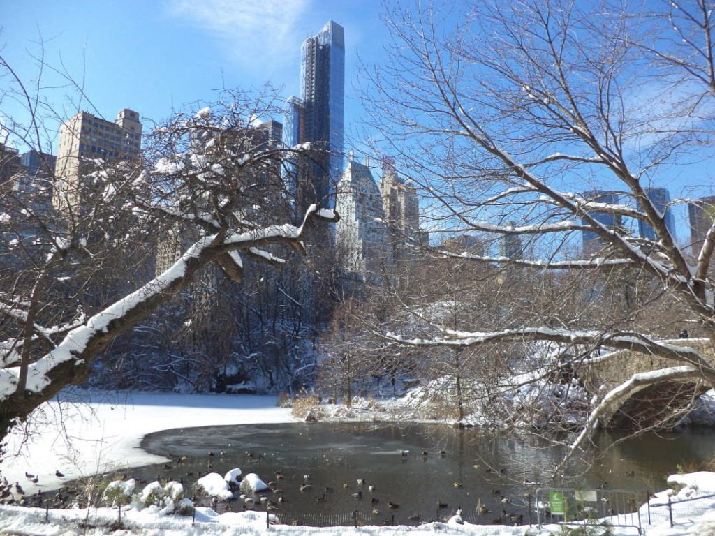 Central Park - O que fazer no inverno 