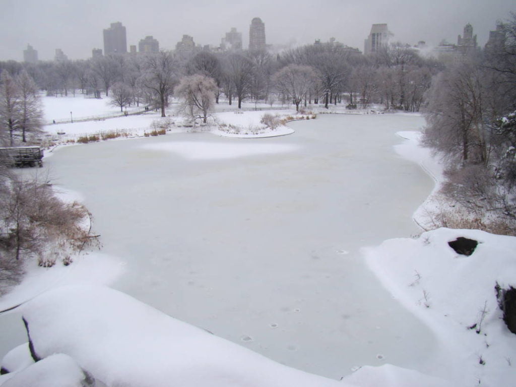 Belvedere Castle no Central Park - O que fazer em Nova York no inverno com neve!