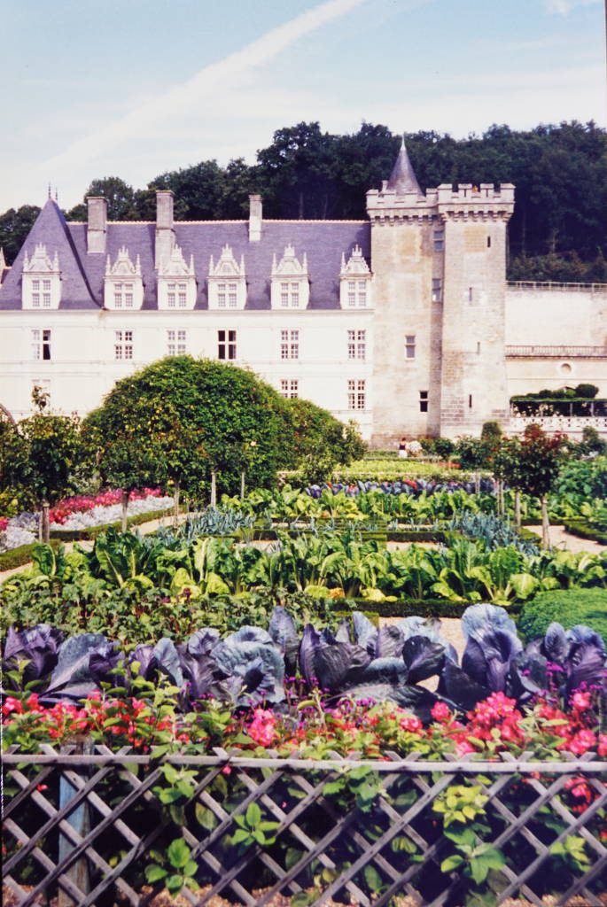 Castelo de Villandry - Castelos na França - Os 5 castelos no Vale do Loire que são top!