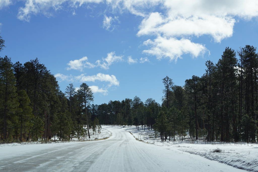 Estrada com neve