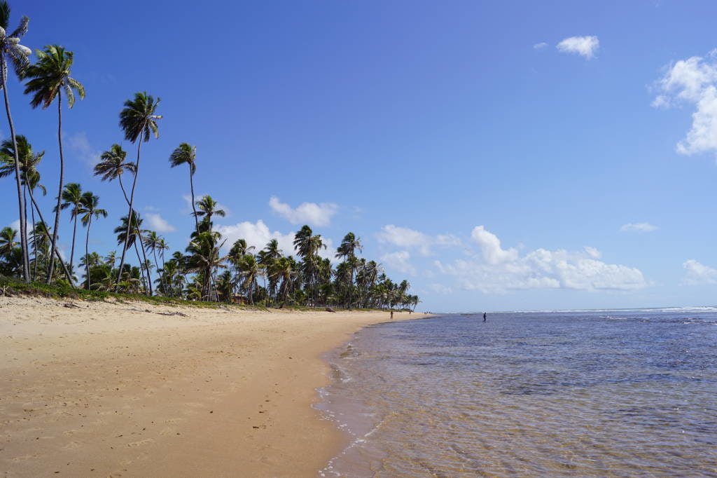 Praia do Lord - Praia do Forte Bahia 