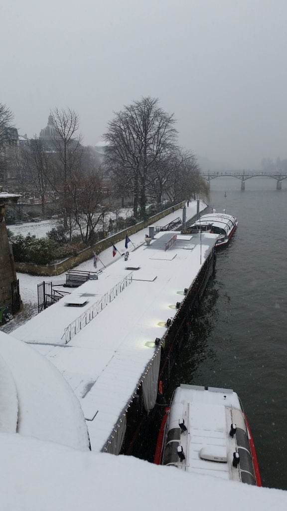 Vedettes du Pont Neuf - Viajar para Paris no inverno com neve!