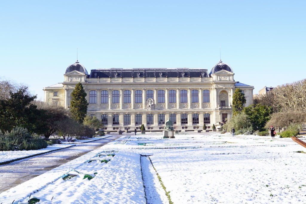 Jardim Botânico e Museu de História Natural - Viajar para Paris no inverno com neve!