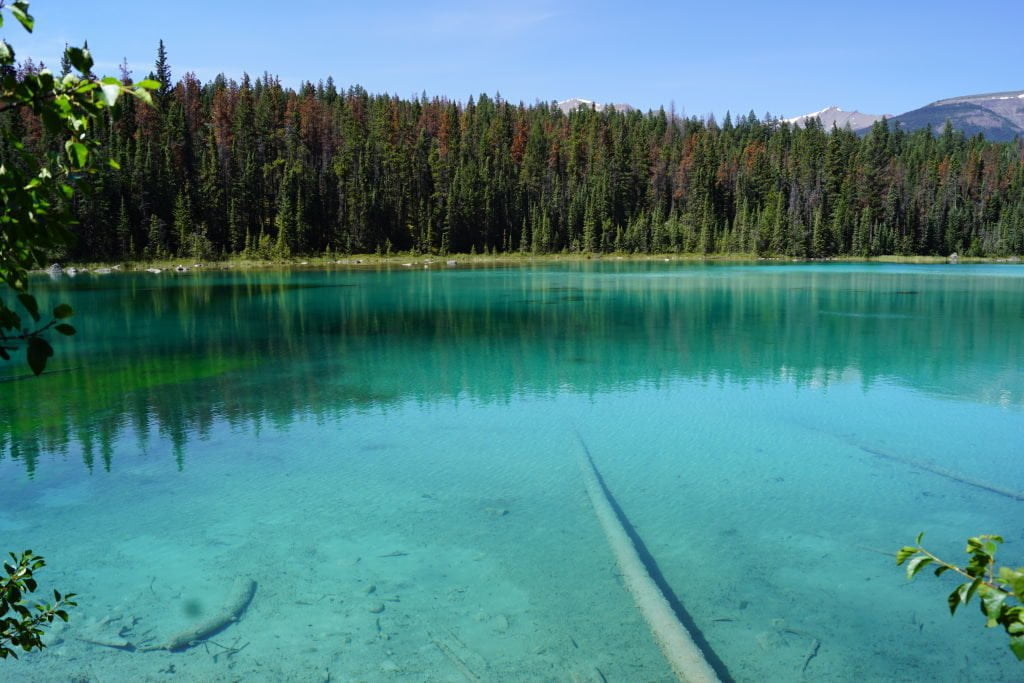 1º Lago na Trilha Vale dos 5 Lagos - O que fazer no Parque Nacional Jasper Canadá