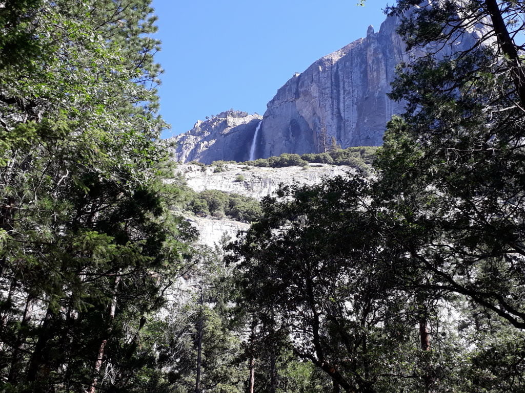 Lower Yosemite Fall Trail - O que fazer no Parque Nacional de Yosemite na Califórnia