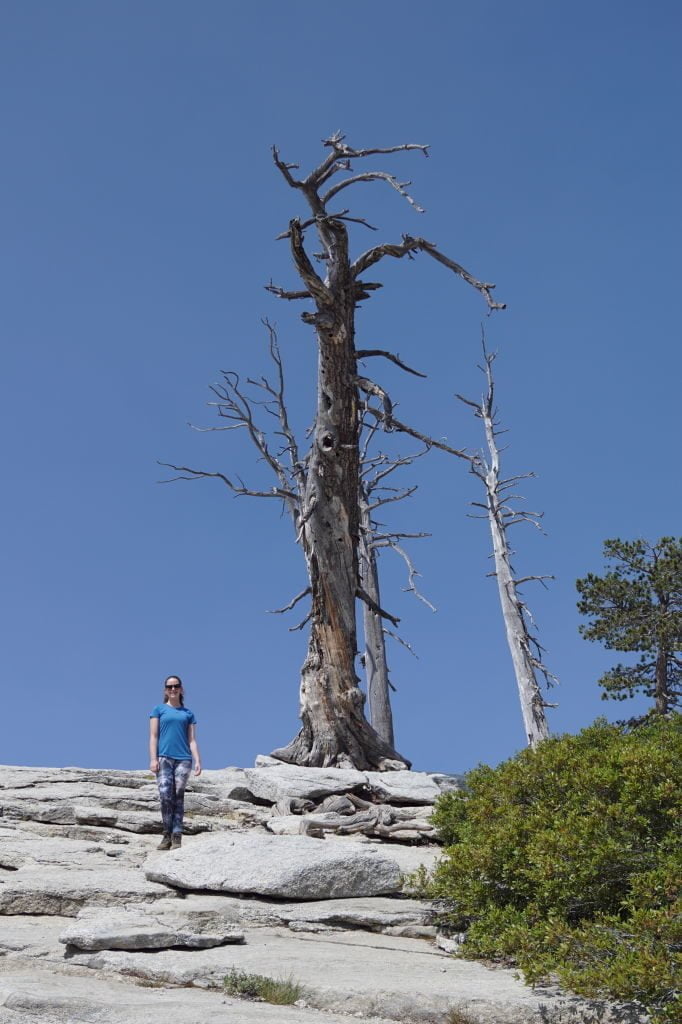 Sentinel Dome - O que fazer no Parque Nacional Yosemite na Califórnia