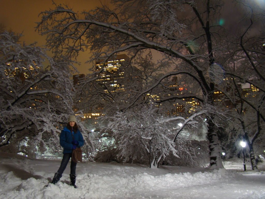 Central Park - O que fazer em Nova York no inverno com neve!