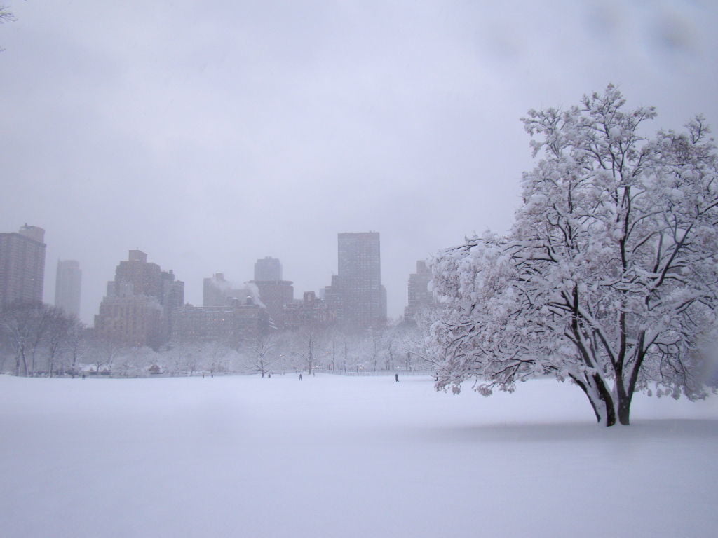 O que fazer em Nova York no inverno - Com neve!