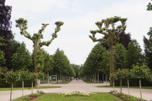 Parc de l'Orangerie - O que fazer em Estrasburgo França