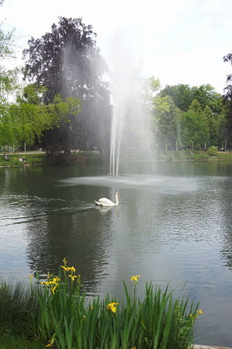 Parc de l'Orangerie - O que fazer em Estrasburgo França