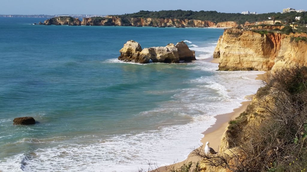 Praia da Rocha ,Algarve in 1 day , Portugal