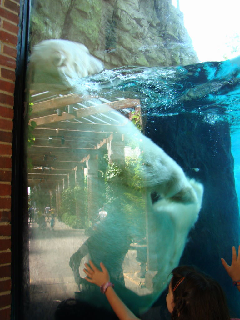 Central Park Zoo, Top 10 Central Park Attractions