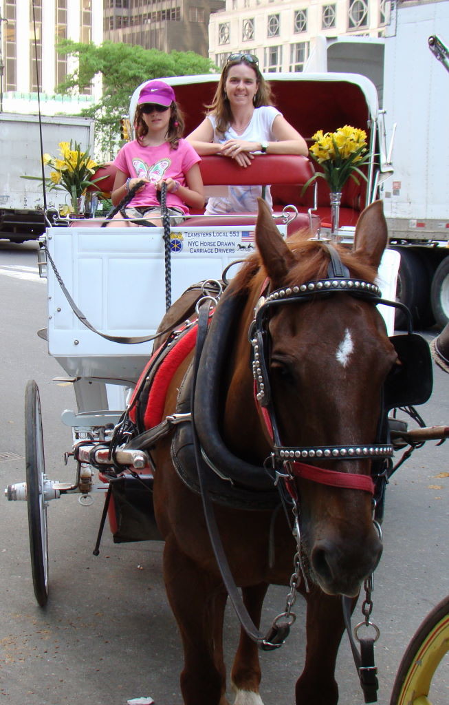 Horse Carriage Ride - Top 10 Central Park attractions