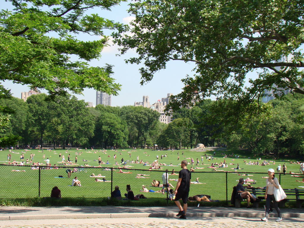 Sheep Meadow, top 10 Central Park attractions