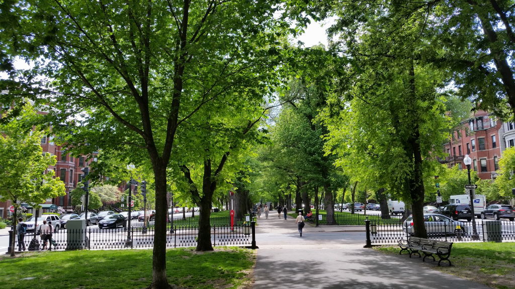 Commonwealth Avenue - Boston in 1 day by foot - Best attractions