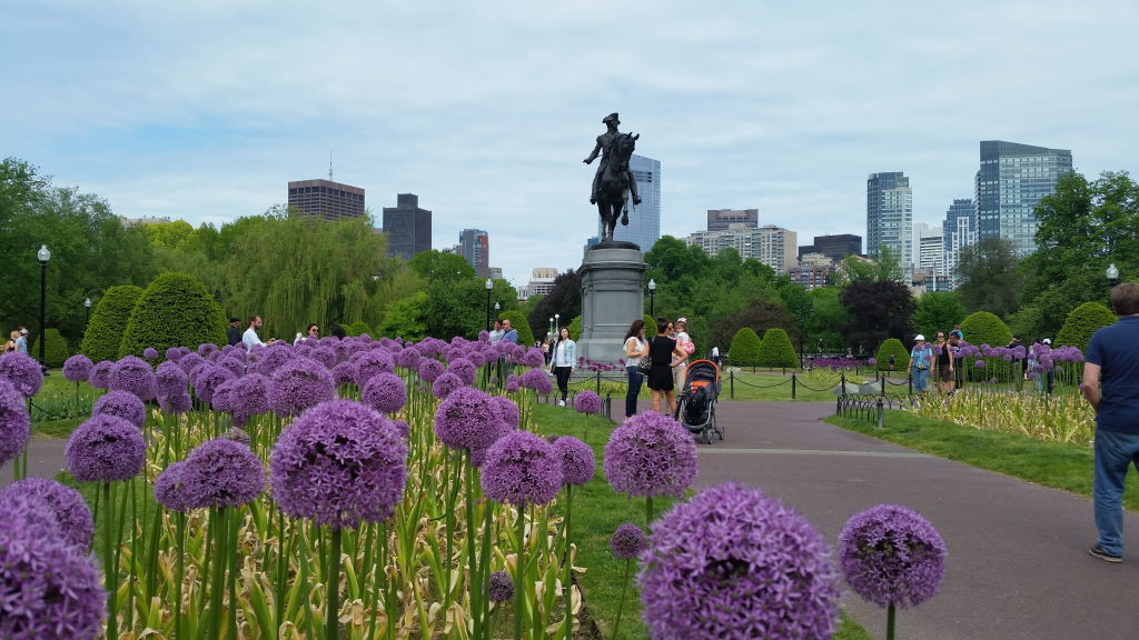 Boston Public Garden - Boston in 1 day by foot - Best attractions