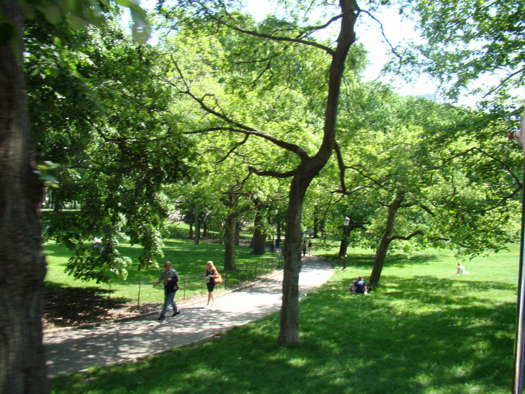 Top 10 Central Park Attractions