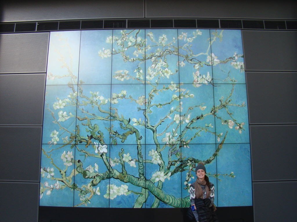 Almond Blossom no painel do Museu 