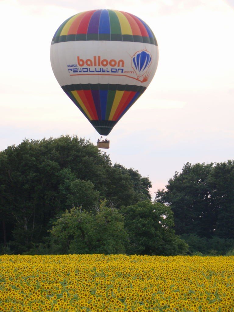 Passeio de balão no Vale do Loire França