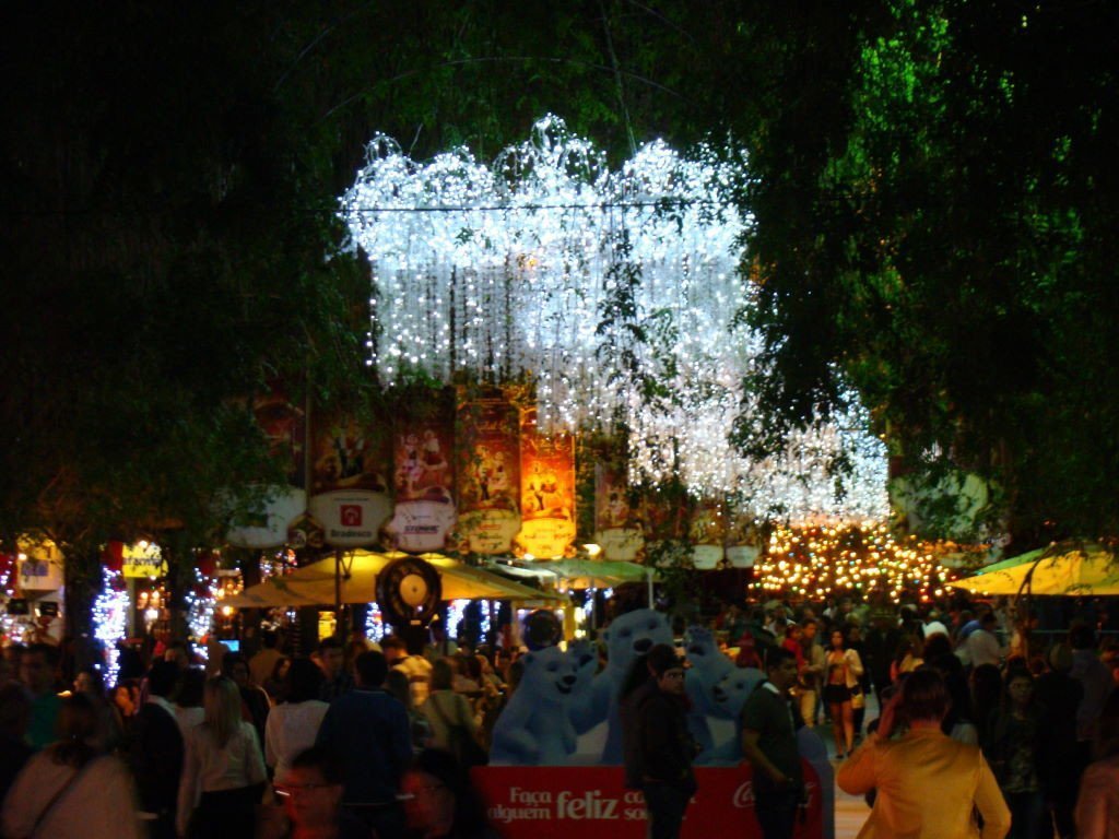 The Covered Street - Christmas in Gramado