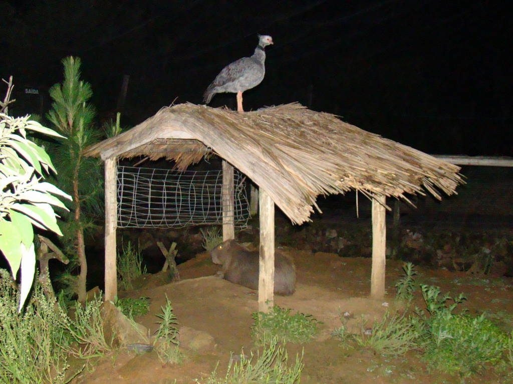 The Gramado Zoo