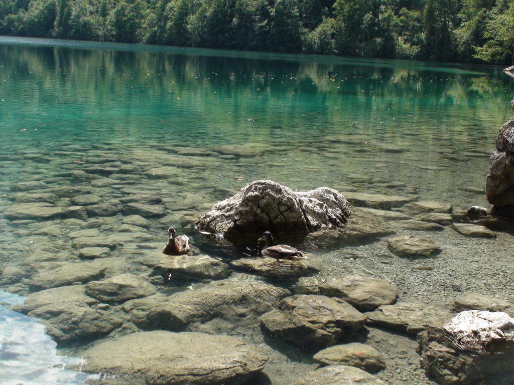 Lago Oberssee 