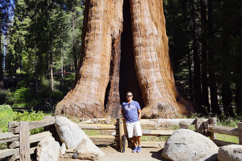 Sentinel - Parque das Sequoias EUA