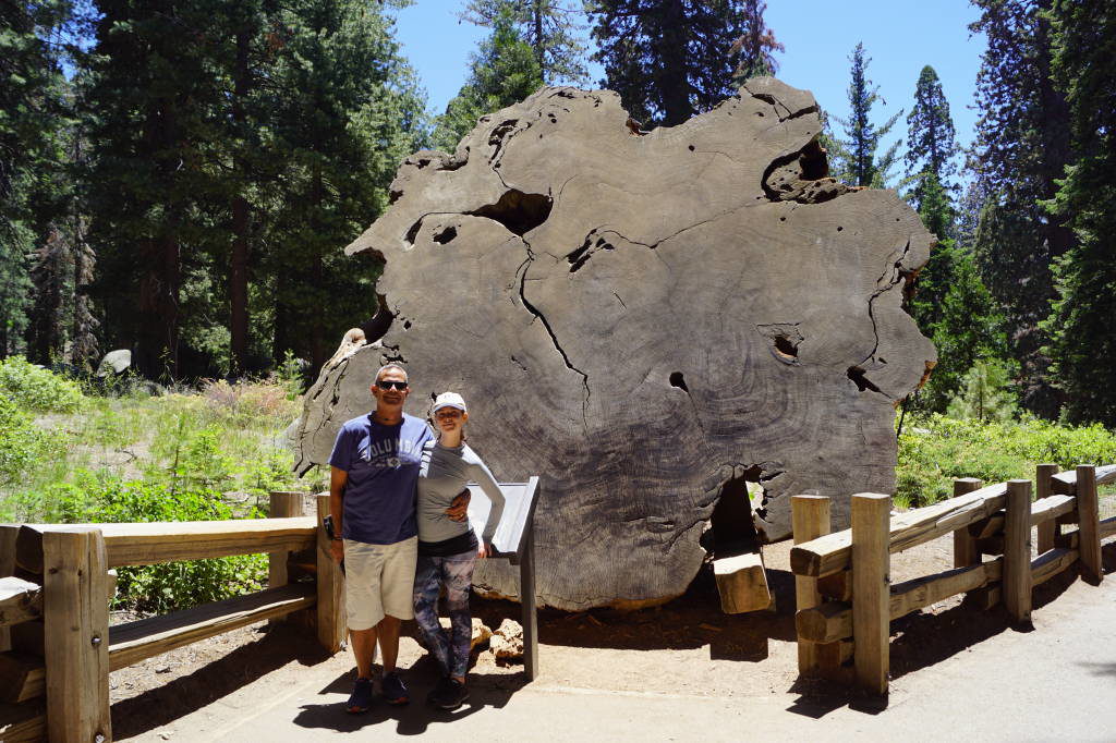 General Sherman Trail - Parque das Sequoias EUA