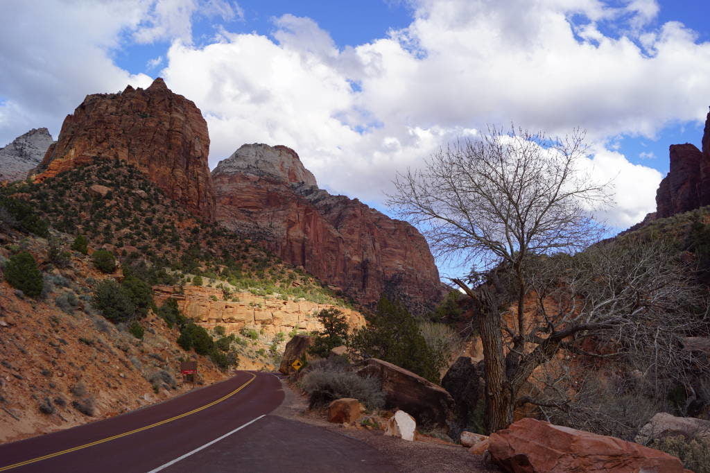 Zion Canyon Scenic Drive - O que fazer no Parque Nacional Zion 