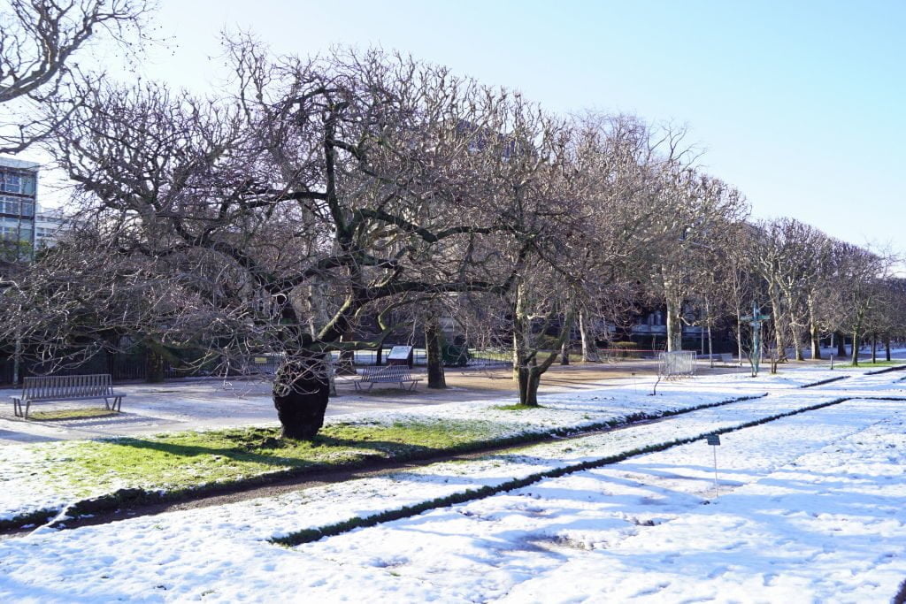 Jardim Botânico - Viajar para Paris no inverno com neve!