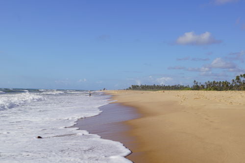 Imbassaí - Melhores praias litoral norte Bahia 