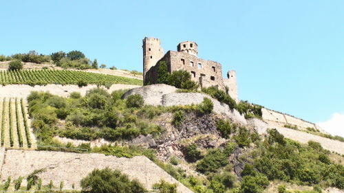 Burg Ehrenfels - Cruzeiro Rio Reno Alemanha