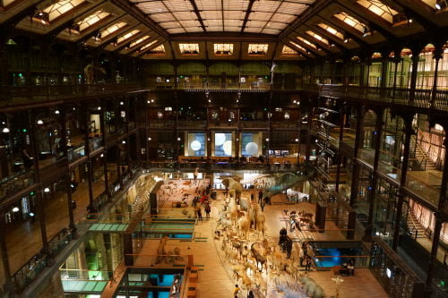 Grande Galeria da Evolução do Museu de História Natural em Paris