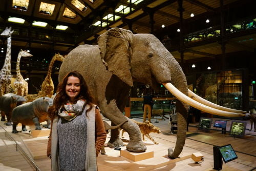 Grande Galeria da Evolução do Museu de História Natural - Museus em Paris