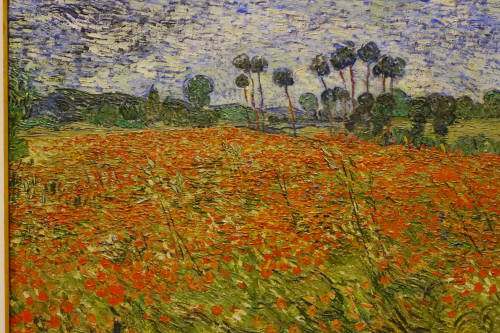 Poppy Field (1890), Vincent van Gogh - Museu van Gogh Amsterdam