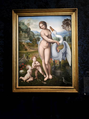 Leda e o Cisne, de Leonardo da VINCI - Exposição Obras Primas da Galeria Borghese no Museu Jacquemart André